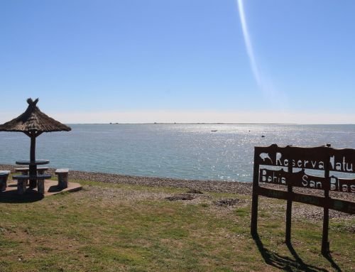 Bahía San Blas: destino ideal para el turismo en pandemia