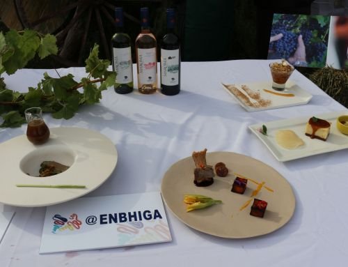 Enbhiga: el reencuentro de sabores, saberes y experiencias