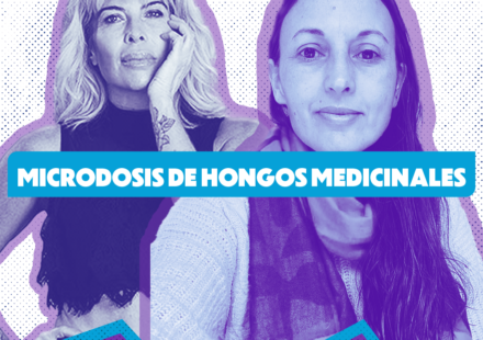 Vero gasloli: microdosis de hongos medicinales
